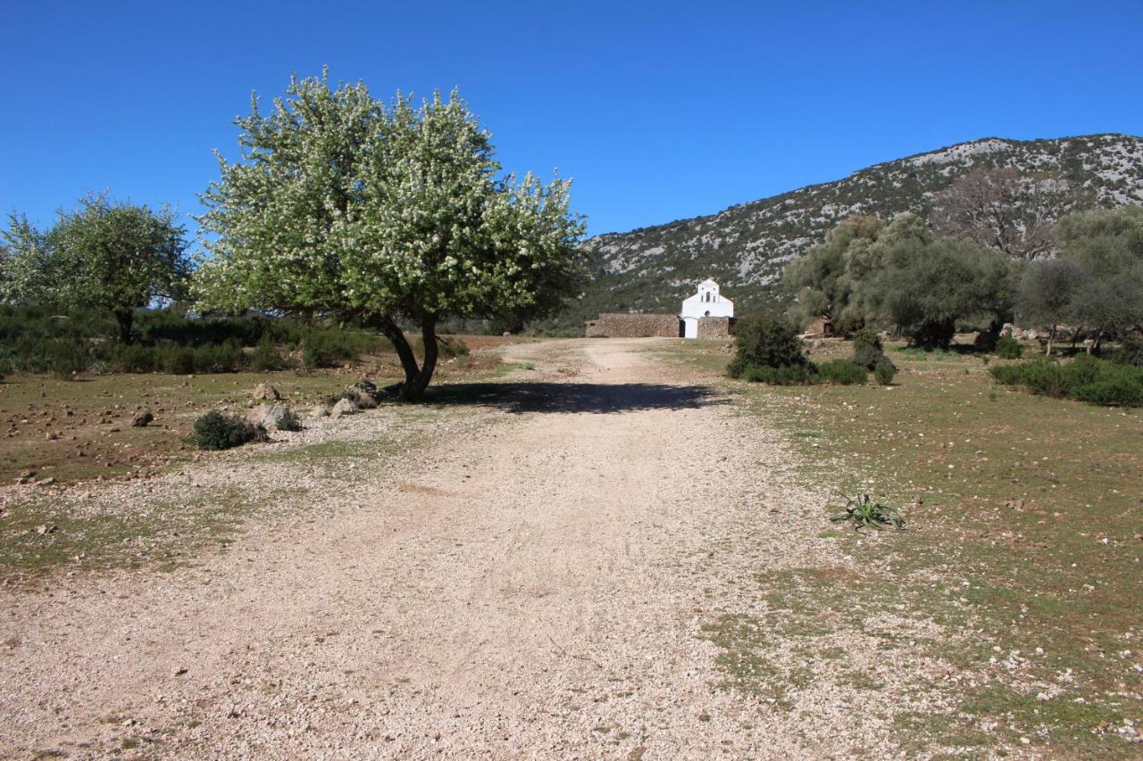 B&B Issicoro Baunei Exterior foto